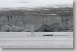 lomfjord08.jpg